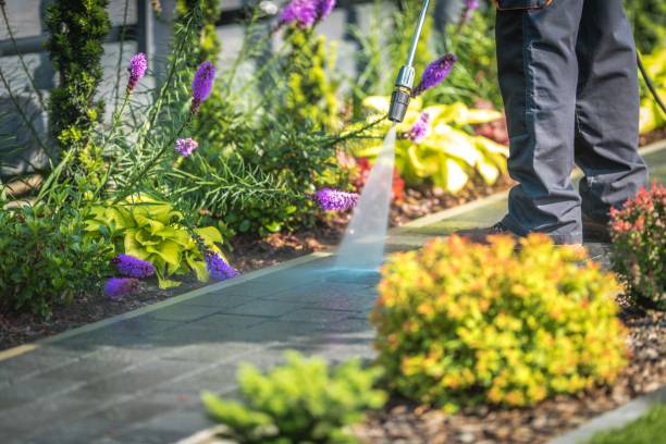 Professional Pressure Washing Services in Mount Vernon, IL