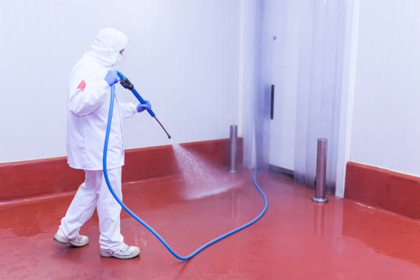 Best Sidewalk and Walkway Cleaning  in Mount Vernon, IL