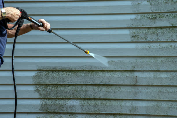 Best Gutter Cleaning  in Mount Vernon, IL